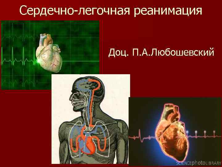 Сердечно-легочная реанимация Доц. П. А. Любошевский 