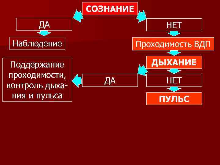 СОЗНАНИЕ ДА НЕТ Наблюдение Проходимость ВДП Поддержание проходимости, контроль дыхания и пульса ДЫХАНИЕ ДА