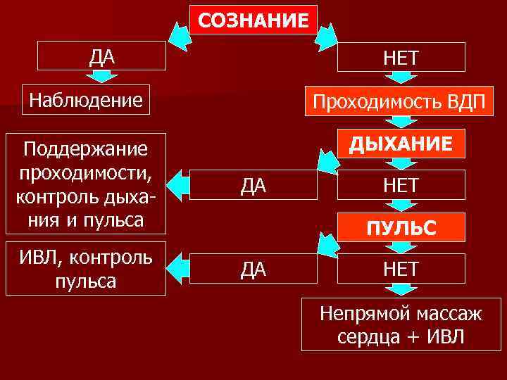 СОЗНАНИЕ ДА НЕТ Наблюдение Проходимость ВДП Поддержание проходимости, контроль дыхания и пульса ДЫХАНИЕ ДА