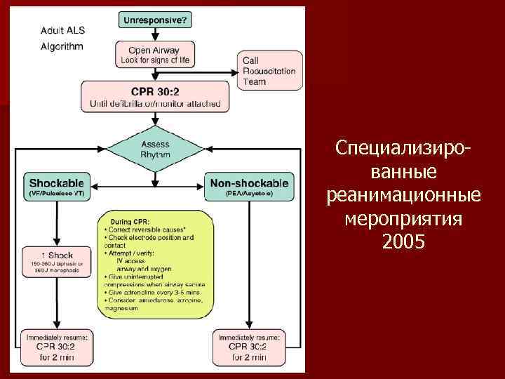 Специализированные реанимационные мероприятия 2005 