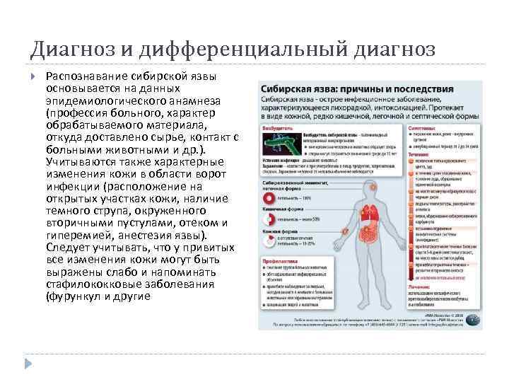 Диагноз и дифференциальный диагноз Распознавание сибирской язвы основывается на данных эпидемиологического анамнеза (профессия больного,