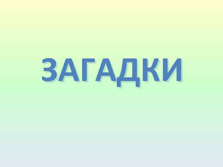 ЗАГАДКИ 