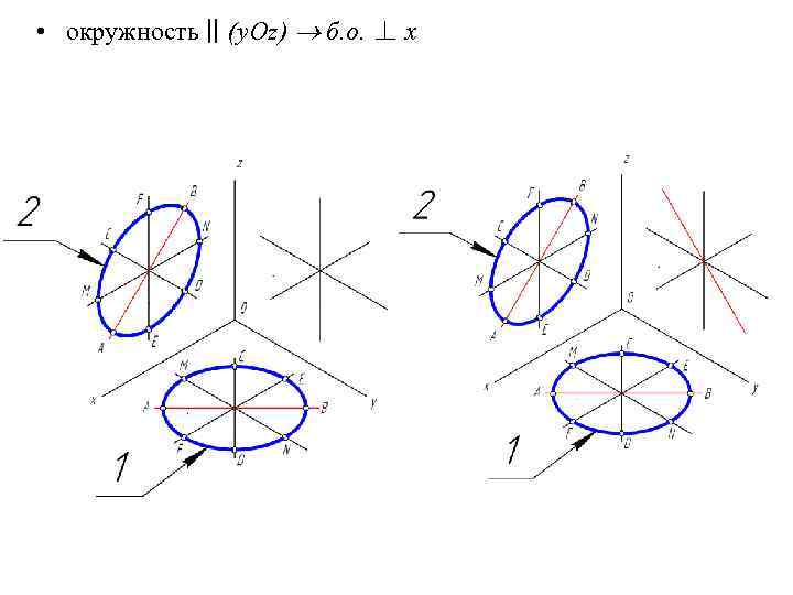  • окружность || (y. Oz) б. о. ⊥ x 