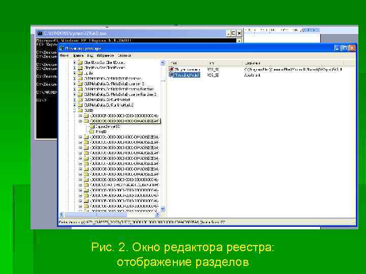 Рис. 2. Окно редактора реестра: отображение разделов 