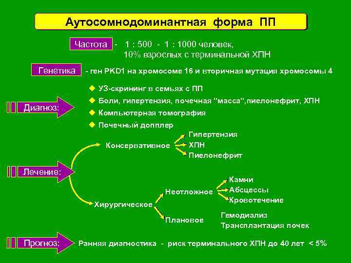 Аутосомнодоминантная форма ПП Частота - 1 : 500 - 1 : 1000 человек, 10%