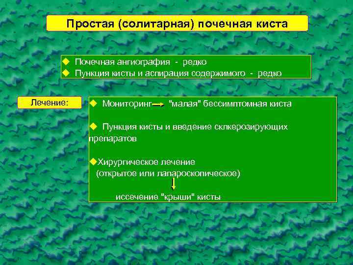 Простая (солитарная) почечная киста u u Лечение: Почечная ангиография - редко Пункция кисты и