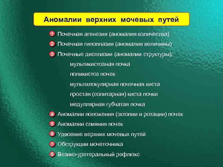 Аномалии верхних мочевых путей 1 Почечная агенезия (аномалия количества) 2 Почечная гипоплазия (аномалия величины)