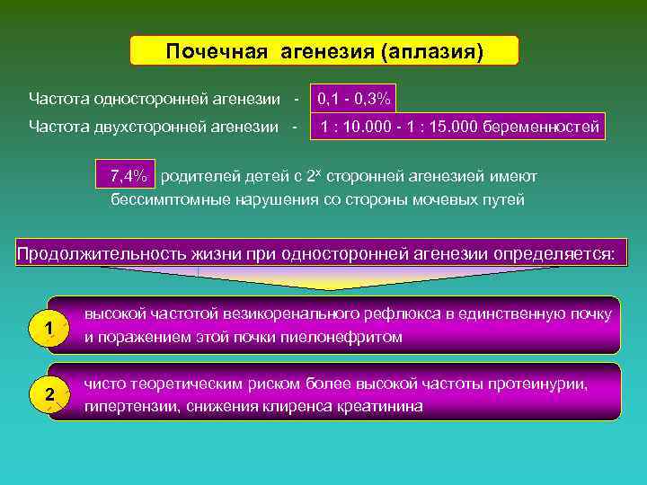 Почечная агенезия (аплазия) Частота односторонней агенезии - 0, 1 - 0, 3% Частота двухсторонней