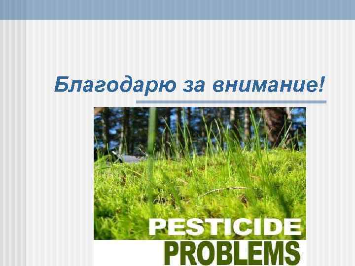 Благодарю за внимание! 