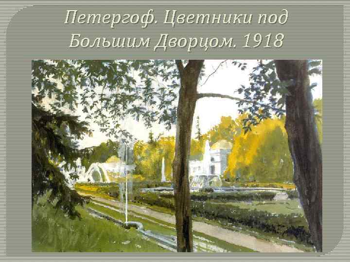 Петергоф. Цветники под Большим Дворцом. 1918 