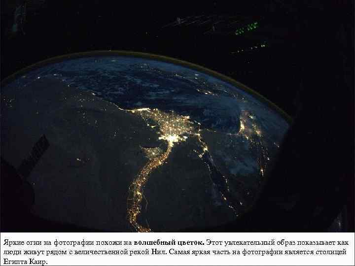 Яркие огни на фотографии похожи на волшебный цветок. Этот увлекательный образ показывает как люди