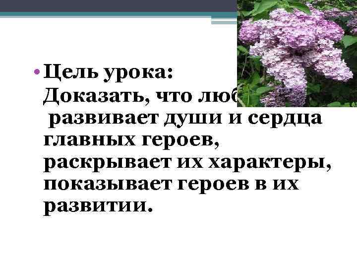  • Цель урока: Доказать, что любовь развивает души и сердца главных героев, раскрывает