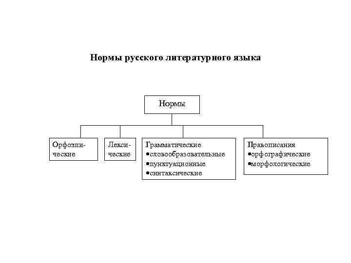 Нормы русского литературного языка Нормы Орфоэпические Лексические Грамматические ·словообразовательные ·пунктуационные ·синтаксические Правописания ·орфографические ·морфологические