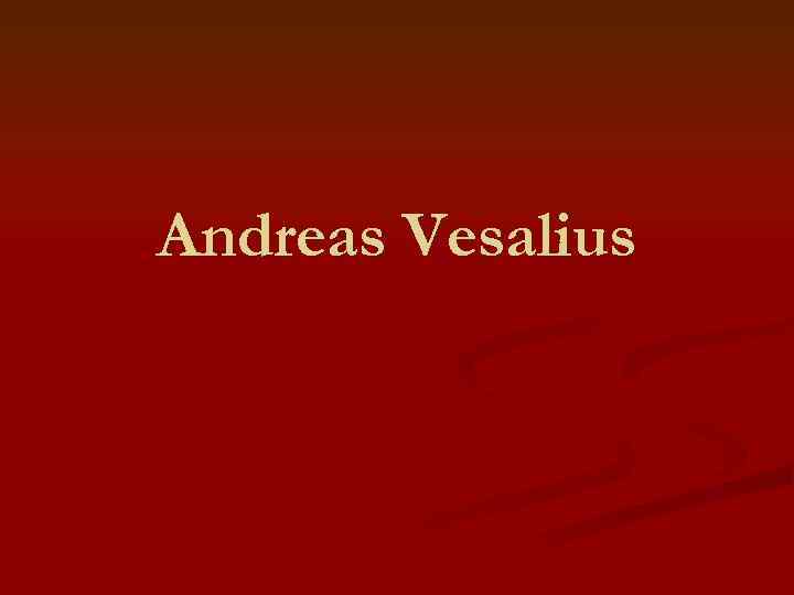 Andreas Vesalius 