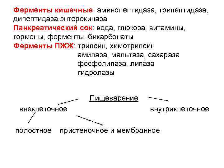 Ферменты кишечные: аминопептидаза, трипептидаза, дипептидаза, энтерокиназа Панкреатический сок: вода, глюкоза, витамины, гормоны, ферменты, бикарбонаты