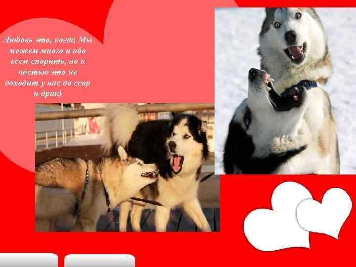 Любовь это, когда Мы можем много и обо всем спорить, но к частью это