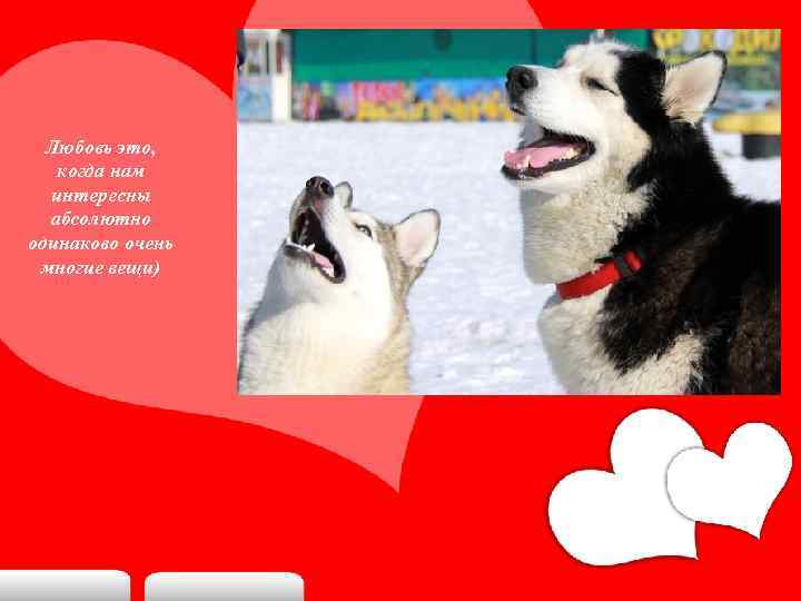 Любовь это, когда нам интересны абсолютно одинаково очень многие вещи) 