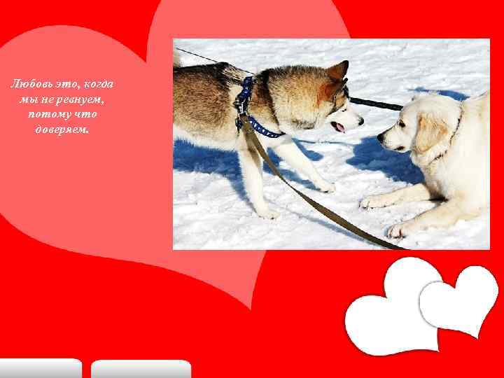 Любовь это, когда мы не ревнуем, потому что доверяем. 