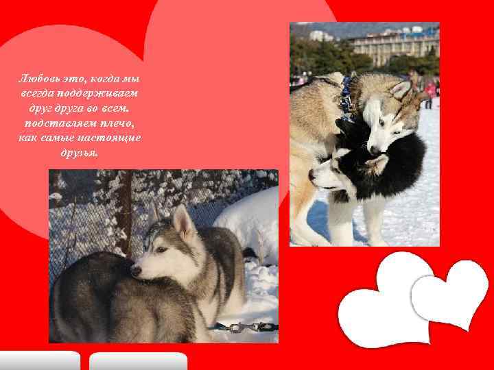 Любовь это, когда мы всегда поддерживаем друга во всем. подставляем плечо, как самые настоящие