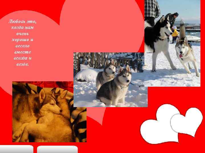 Любовь это, когда нам очень хорошо и весело вместе всегда и везде. 