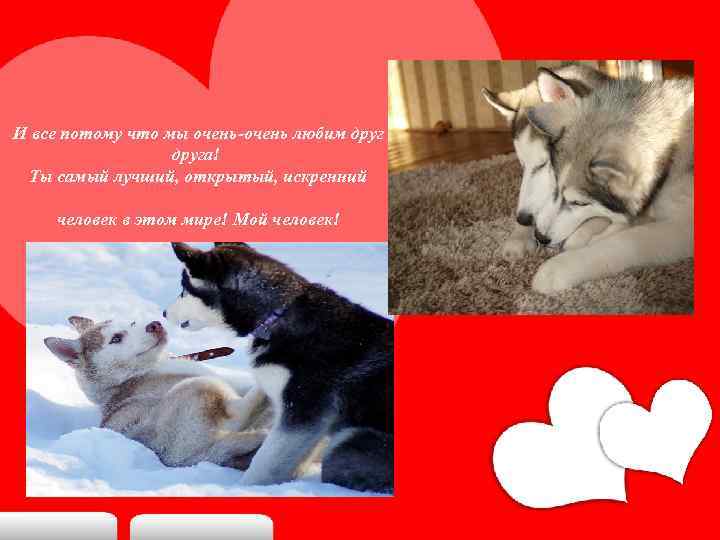 И все потому что мы очень-очень любим друга! Ты самый лучший, открытый, искренний человек