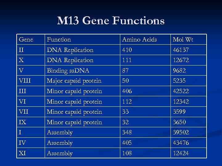 M 13 Gene Functions Gene II Function DNA Replication Amino Acids 410 Mol Wt