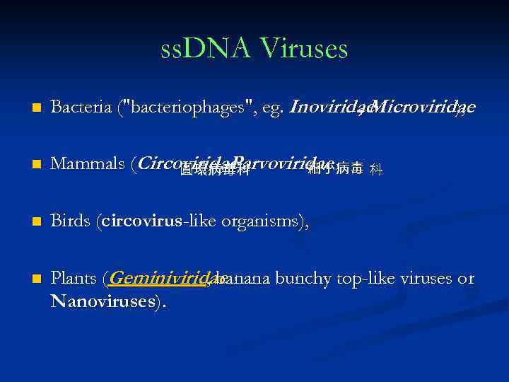 ss. DNA Viruses n Bacteria (