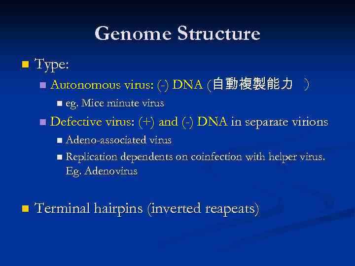 Genome Structure n Type: n Autonomous virus: (-) DNA (自動複製能力 ） n eg. Mice