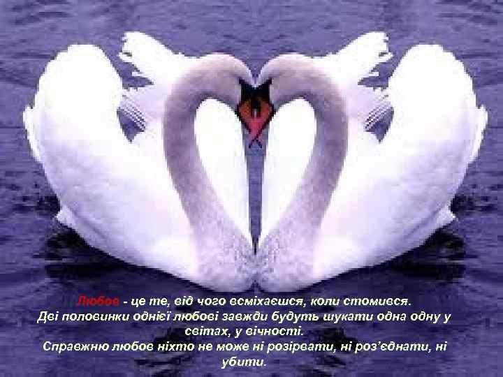 Любов - це те, від чого всміхаєшся, коли стомився. Дві половинки однієї любові завжди