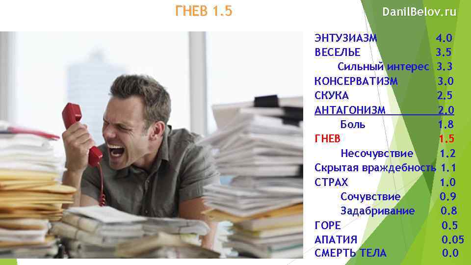 ГНЕВ 1. 5 Danil. Belov. ru ЭНТУЗИАЗМ 4. 0 ВЕСЕЛЬЕ 3. 5 Сильный интерес