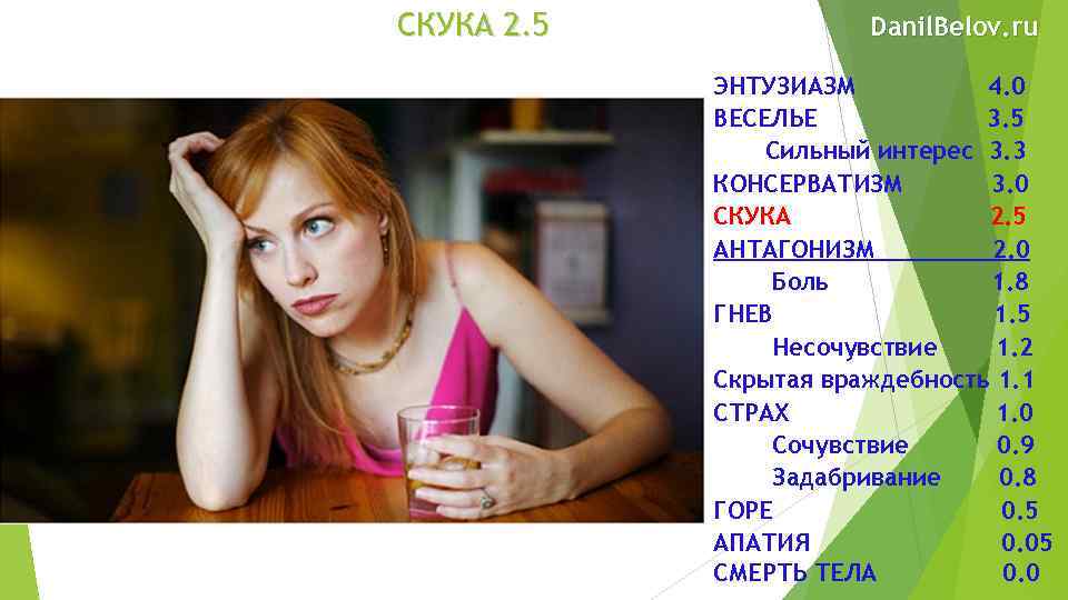 СКУКА 2. 5 Danil. Belov. ru ЭНТУЗИАЗМ 4. 0 ВЕСЕЛЬЕ 3. 5 Сильный интерес