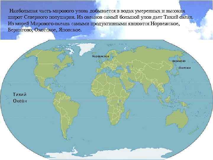 Широта мирового океана. Ресурсы мирового океана карта. Самое мелкое море мирового океана. Экономическая география мирового океана. Самые продуктивные моря мирового океана.