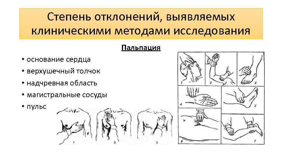 Степень отклонений, выявляемых клиническими методами исследования Пальпация • основание сердца • верхушечный толчок •