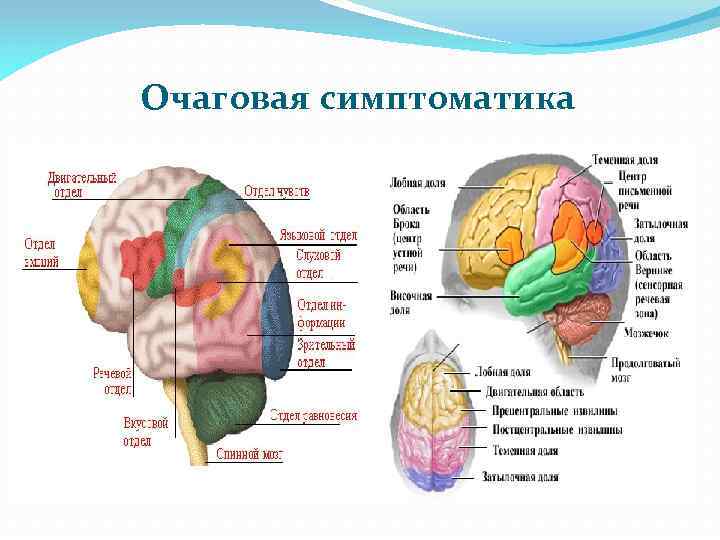 Очаговая симптоматика 