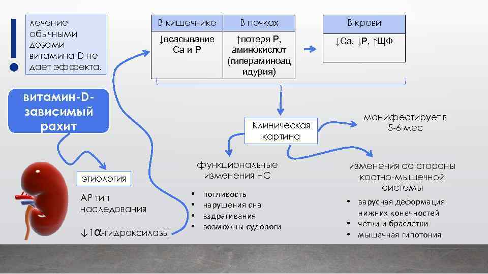 ! лечение обычными дозами витамина D не дает эффекта. В кишечнике В почках В