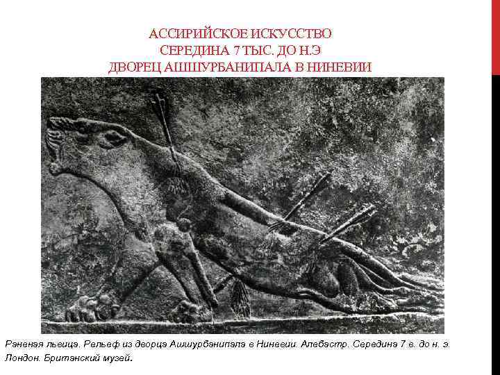 АССИРИЙСКОЕ ИСКУССТВО СЕРЕДИНА 7 ТЫС. ДО Н. Э ДВОРЕЦ АШШУРБАНИПАЛА В НИНЕВИИ Раненая львица.