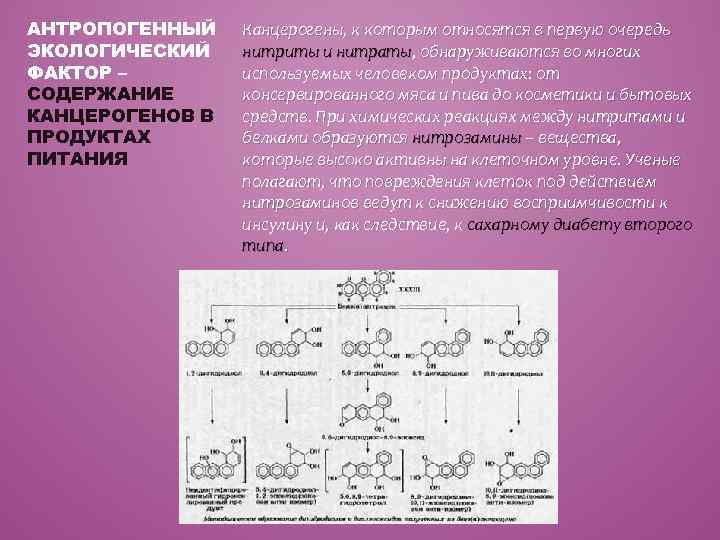 АНТРОПОГЕННЫЙ ЭКОЛОГИЧЕСКИЙ ФАКТОР – СОДЕРЖАНИЕ КАНЦЕРОГЕНОВ В ПРОДУКТАХ ПИТАНИЯ Канцерогены, к которым относятся в