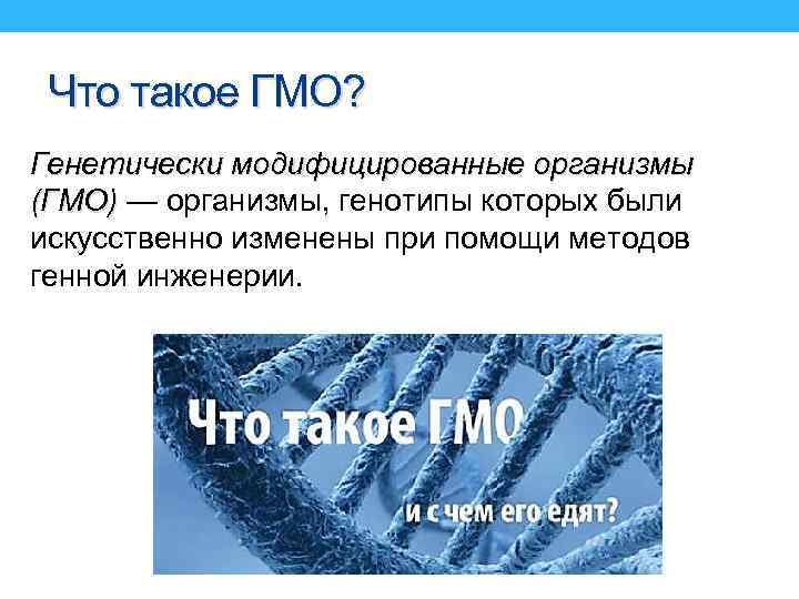 Что такое ГМО? Генетически модифицированные организмы (ГМО) — организмы, генотипы которых были искусственно изменены