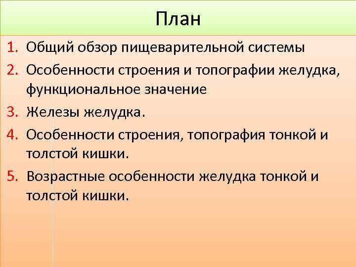 План 1. Общий обзор пищеварительной системы 2. Особенности строения и топографии желудка, функциональное значение