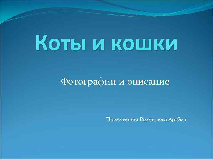 Коты и кошки Фотографии и описание Презентация Возмищева Артёма 