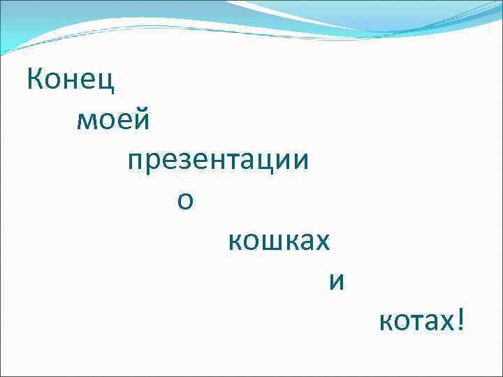 Конец моей презентации о кошках и котах! 