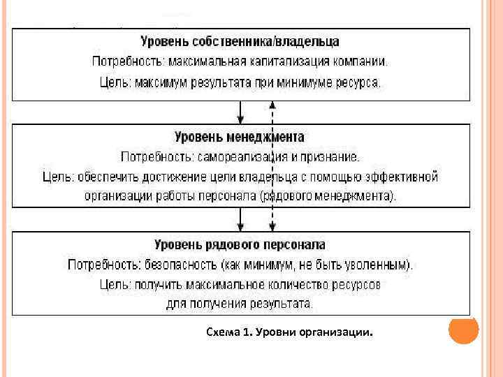 Схема 1. Уровни организации. 