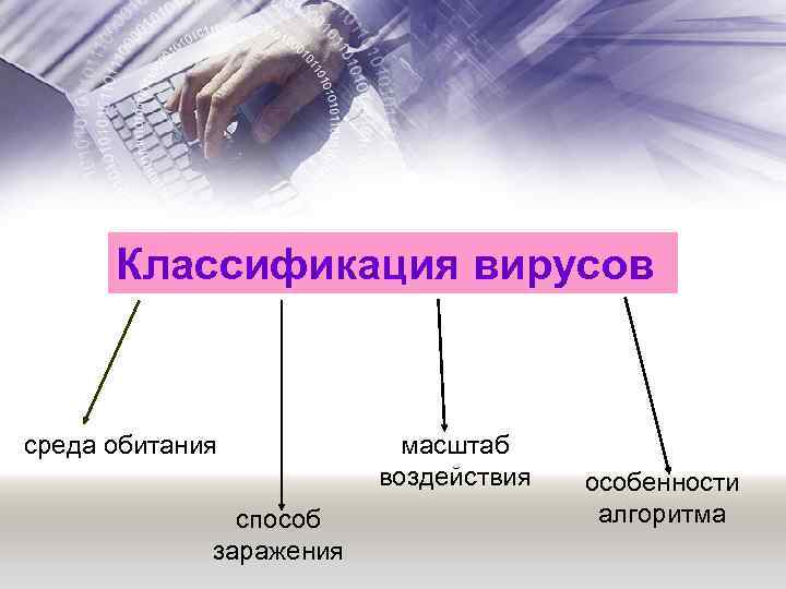 Классификация вирусов среда обитания способ заражения масштаб воздействия особенности алгоритма 