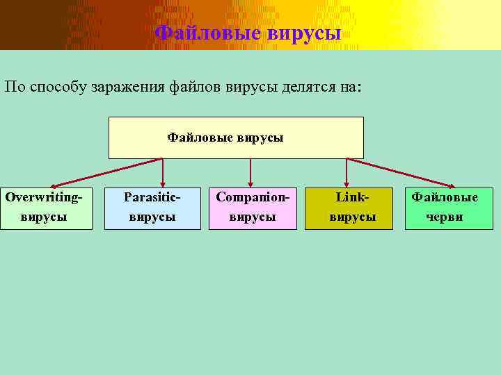 Файловые вирусы По способу заражения файлов вирусы делятся на: Файловые вирусы Overwritingвирусы Parasiticвирусы Companionвирусы