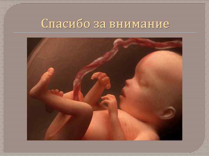 Спасибо за внимание 