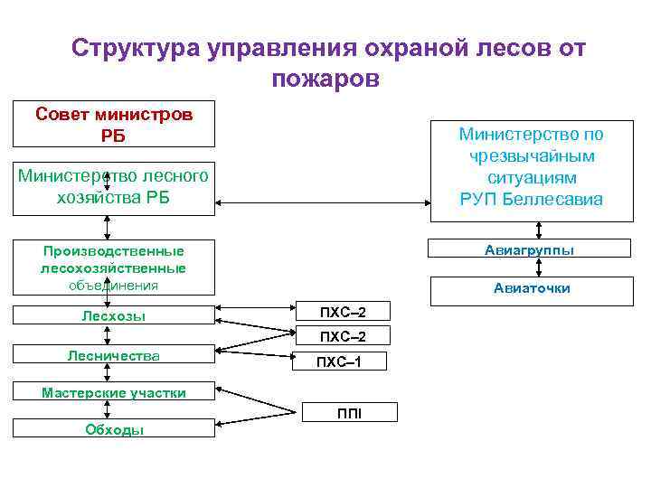 Структура управления охраной лесов от пожаров Совет министров РБ Министерство по чрезвычайным ситуациям РУП
