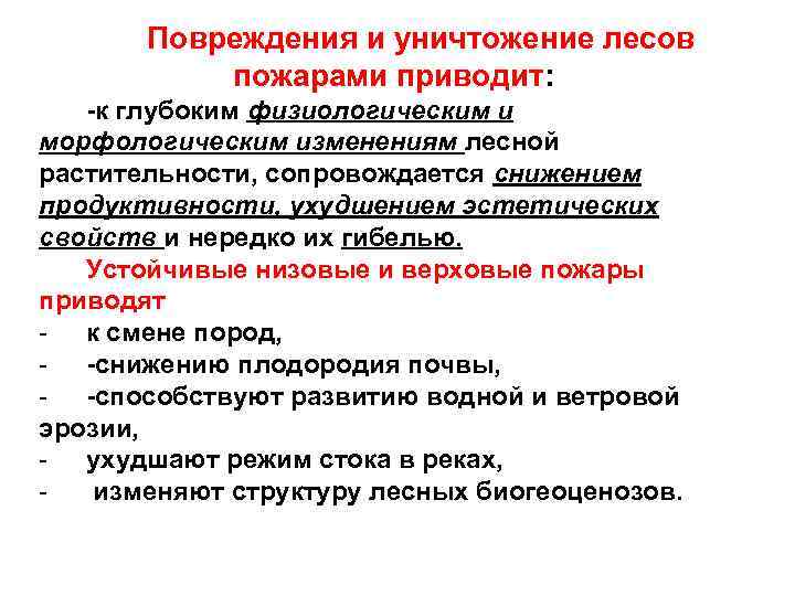 Повреждения и уничтожение лесов пожарами приводит: -к глубоким физиологическим и морфологическим изменениям лесной растительности,