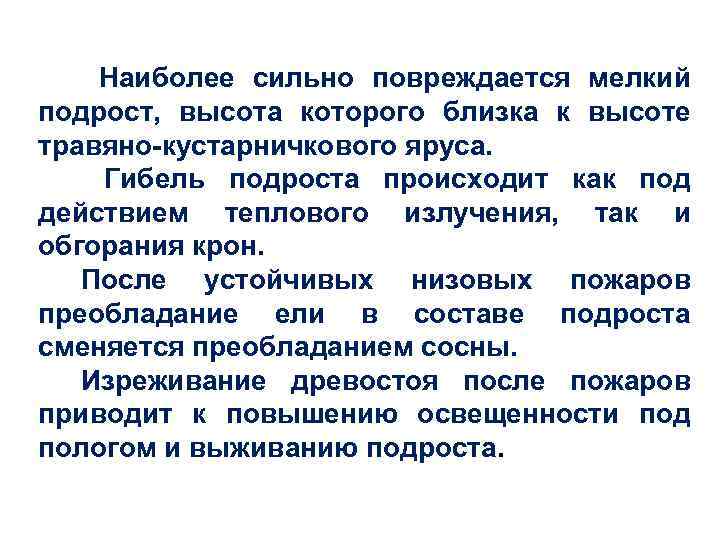  Наиболее сильно повреждается мелкий подрост, высота которого близка к высоте травяно-кустарничкового яруса. Гибель