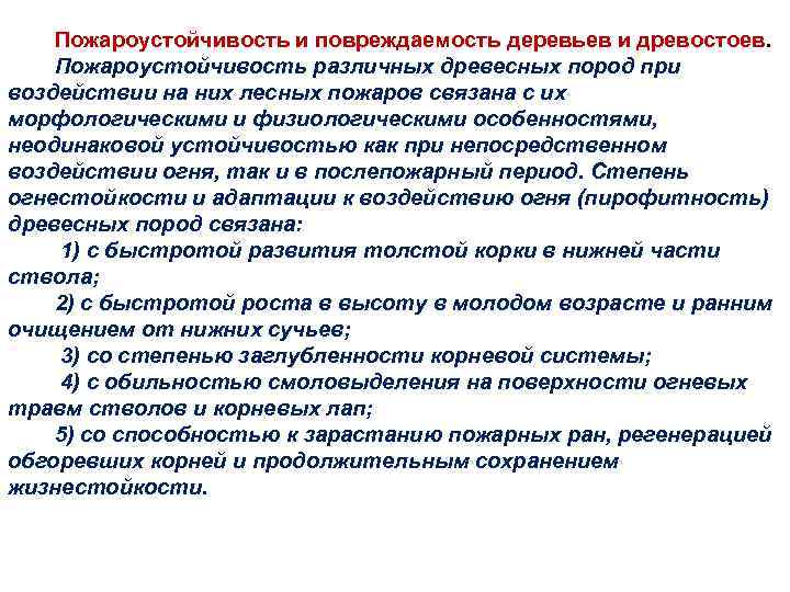 Пожароустойчивость и повреждаемость деревьев и древостоев. Пожароустойчивость различных древесных пород при воздействии на них