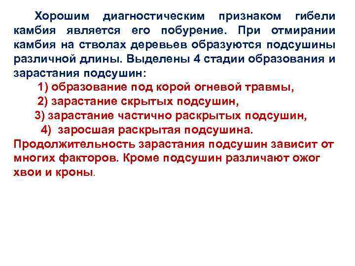 Хорошим диагностическим признаком гибели камбия является его побурение. При отмирании камбия на стволах деревьев